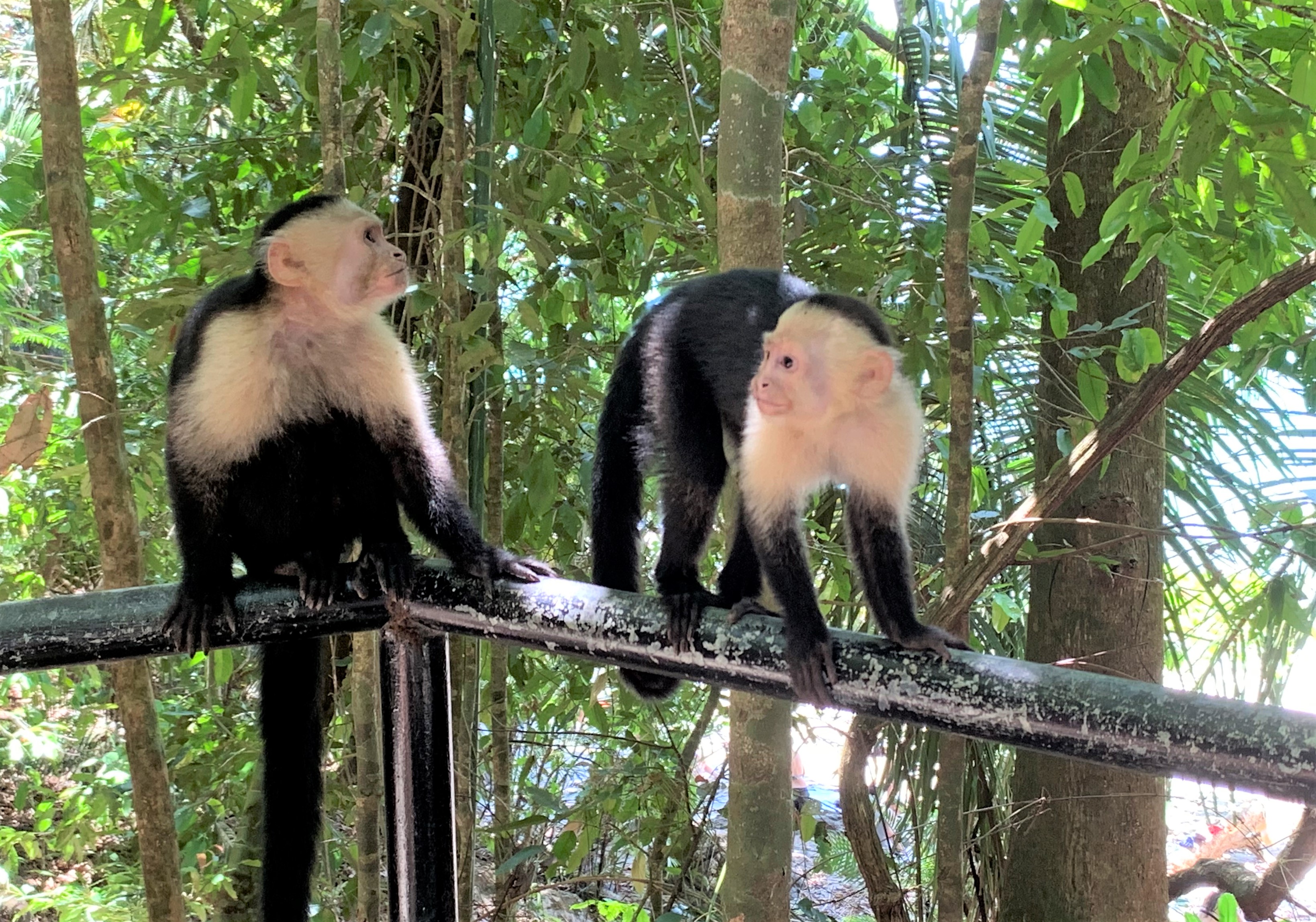 Costa Rica